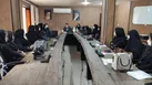 برگزاری دوره آموزشی  آموزش چهره به چهره مردم در محلات برای مقابله با پشه آئدس