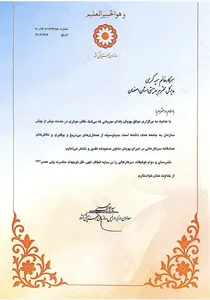 تجلیل معاون وزیر از مدیریت هوشمندانه بهزیستی استان