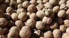 قاچاقچی گردو در اهواز محکوم شد