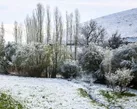 هشدار سازمان جهاد کشاورزی نسبت به سرمازدگی باغات و محصولات زراعی