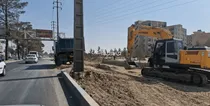قطع درختان واوان به دلیل اجرای پروژه‌های عمرانی است