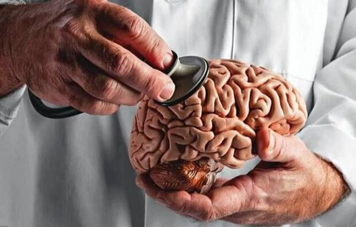 نکات مهم برای داشتن مغز جوانتر