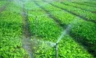 2 میلیون متر مکعب آب در سال گذشته در این شهرستان صرفه جویی شد