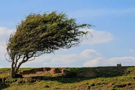وزش باد شدید در ۲۱ استان / احتمال بارش تگرگ در ۱۳ استان