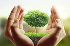 آوارگی در پس بی‌توجهی به محیط‌زیست