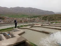 احیای مزرعه پرورش ماهی شهر کاج پس از پنج سال تعطیلی