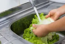 هشدار بهداشتی در آمریکا؛ شیوع انگل خطرناک روده‌ای در چندین ایالت