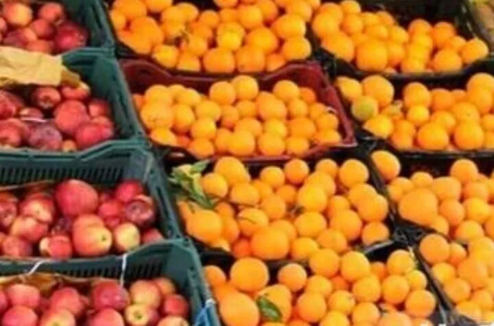 ذخیره ۴۰۰۰ تن مرکبات در میاندورود