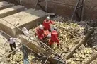 نجات ۴ کارگر از آوار ریزش ساختمان قدیمی