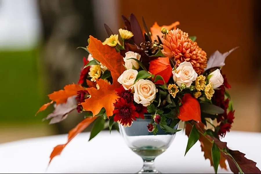 ۸ گل جادویی برای سلامت پوست و مو