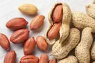 امام خمینی و فرهنگ مقاومت