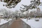 آسمان ایران برفی و بارانی می‌شود