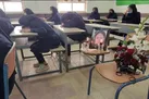 پیکر ملیکا شناسایی شد