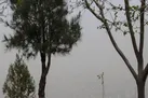ورود سامانه بارشی جدید به کشور از شنبه/خیزش گرد و خاک در برخی مناطق؛ فردا