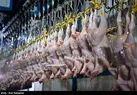 صادرات ۲۰۰ تن گوشت مرغ تولید استان به عراق
