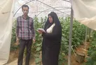 اجرای بیش از ۲ هزار طرح اشتغالزایی بنیاد برکت در خراسان جنوبی