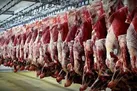کمبودی در تامین دام و گوشت نداریم‌‌ | علت گرانی‌ گوشت، فروش لاکچری آن است