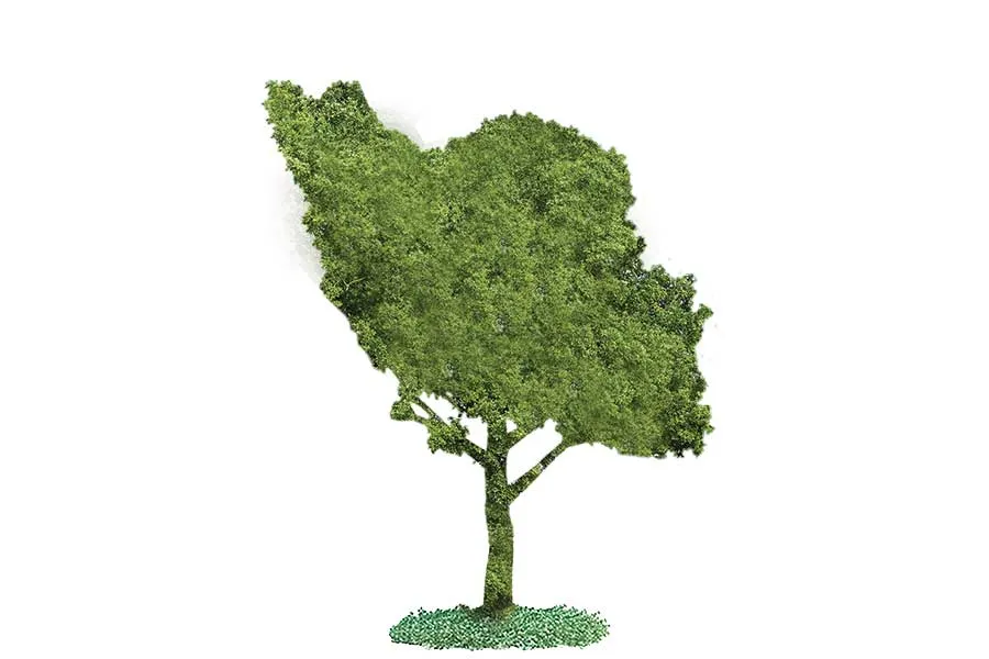 سهم همه برای «ایران سبز»