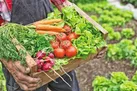 باید رژیم کتو را امتحان کنیم؟