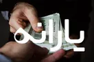 شبکه ملی اعتبار برای واریز زودتر یارانه‌ها ایجاد می‌شود