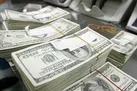 جزئیات دستگیری ۴۳ نفر از اخلالگران بازار ارز در اصفهان