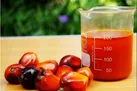 روغن پالم قرمز؛ منبعی غنی برای جبران کمبود ویتامین A در مادران باردار و شیرده