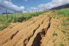 فرسایش، خنجری بر تن خاک ایران