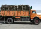 کشف ۳ تن سنگ سیلیس و یک تن چوب قاچاق در ملایر