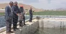 بازدید از طرح توسعه پرورش ماهی قزل آلا شهرستان فریدن