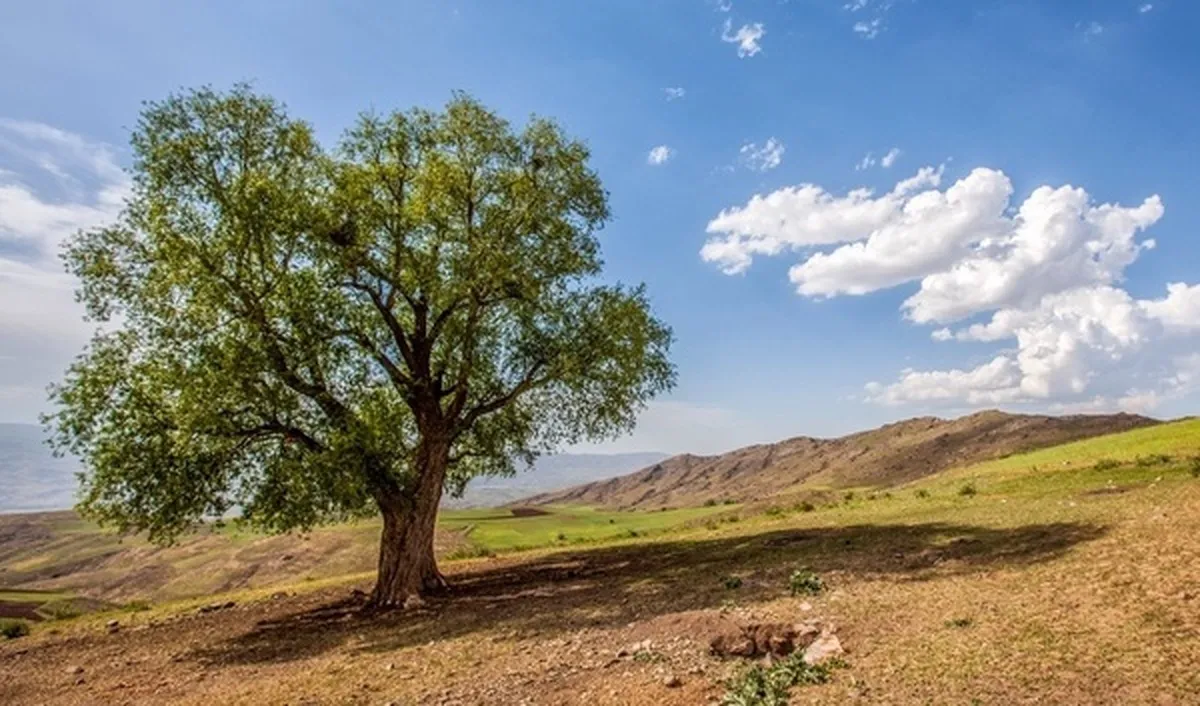 پیش‌بینی وضعیت هوای استان اردبیل