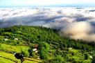 بهترین زمان سفر به رامسر