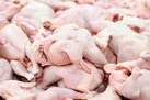 برخورد قاطع با گرانفروشان مرغ و تخم مرغ در پایتخت