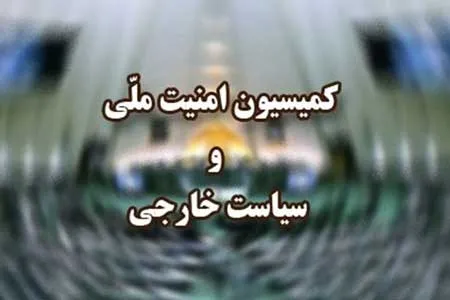 گزارش «امیرعبداللهیان» به مجلس سازنده بود / مذاکرات را رصد می‌کنیم