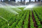 اجرای سیستم هوشمند آبیاری در ۲۰ هکتار از اراضی کشاورزی تویسرکان