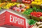 صادرات ۱۸ هزار تن محصولات گلخانه ای در آذرماه سال جاری