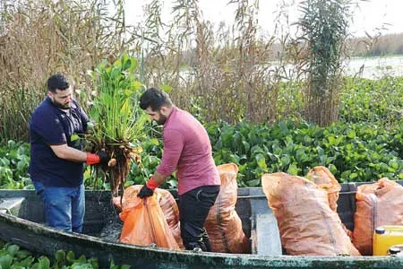 نفوذی‌ های محیط‌ زیست