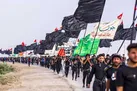 بهینه سازی سفر اربعین نیازمند تشکیل قرارگاهی در ایران و عراق | قرار نیست تعداد زائران کم شود
