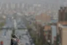 خیزش گرد و خاک و کاهش کیفیت هوا در نیمه‌ جنوبی و غرب تهران
