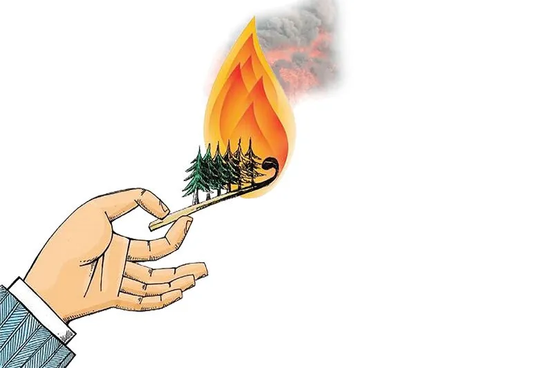 پرسه مافیا در جنگل زغال