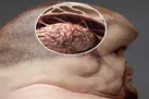 چگونه می‌توانیم از یک تصادف رانندگی مرگبار نجات پیدا کنیم؟