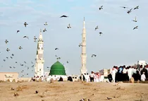 بارش نور و سرور