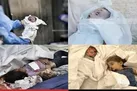 شهادت ۴۴ فلسطینی دیگر در غزه