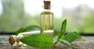 30 خاصیت باورنکردنی روغن نعناع