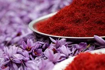 استاندارد؛ سپر بلندی در برابر تقلب‌ها برای سرخ‌ترین طلای ایران