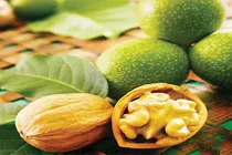 پاک کردن رنگ سیاه گردو از دست