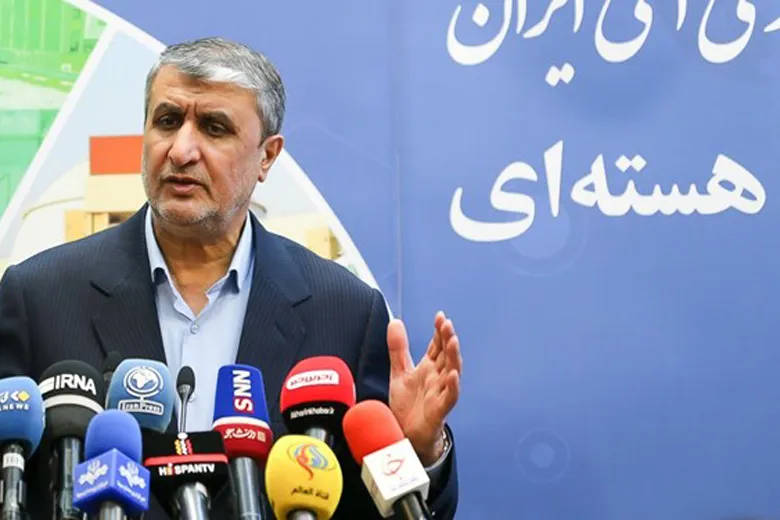 آژانس بین‌المللی انرژی اتمی اسیر صهیونیست‌هاست | توقف فعالیت ۱۷ الی ۱۸ دوربین فراپادمانی