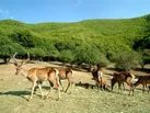 چشم انداز مناطق حفاظت شده در رادیو سلامت