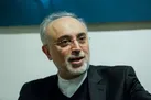 اورانیوم ۶۰ درصد ربطی به سوخت راکتور تهران ندارد/ غنی‌سازی در نطنز متوقف نشده است