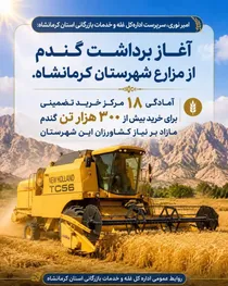آغاز فصل طلایی برداشت گندم در مزارع شهرستان کرمانشاه