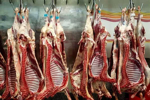 صدور مجوز واردات ۲۵۰هزار تن گوشت قرمز برای تنظیم بازار